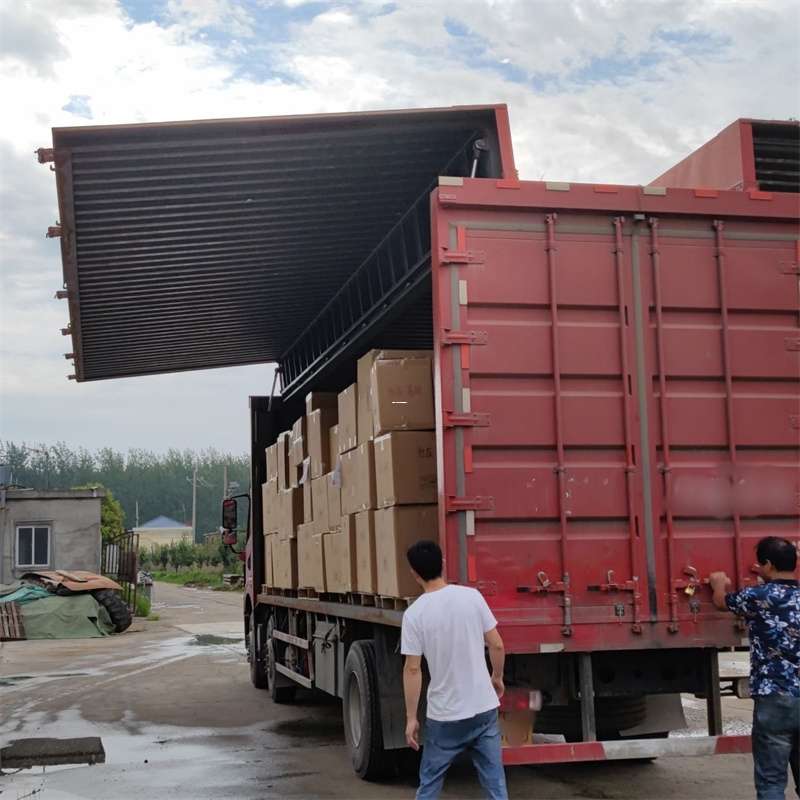 丰县扎囊县：物流专线的高效货运之旅